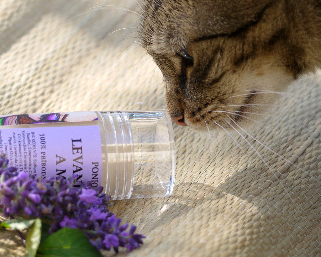 Akcia "Ponio pre NICH" 1.