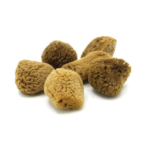 Morská špongia na pleť