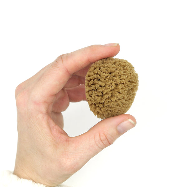 Morská špongia na pleť