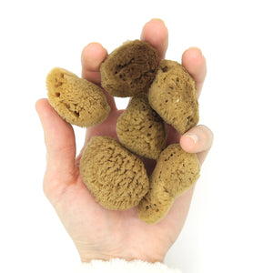 Morská špongia na pleť