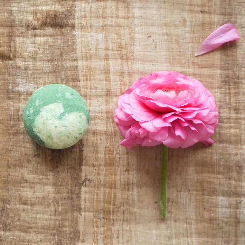 Cukrová pivonka - žihľavový šampúch