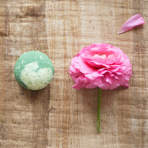 Cukrová pivonka - žihľavový šampúch