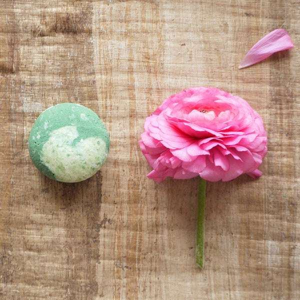 Cukrová pivonka - žihľavový šampúch