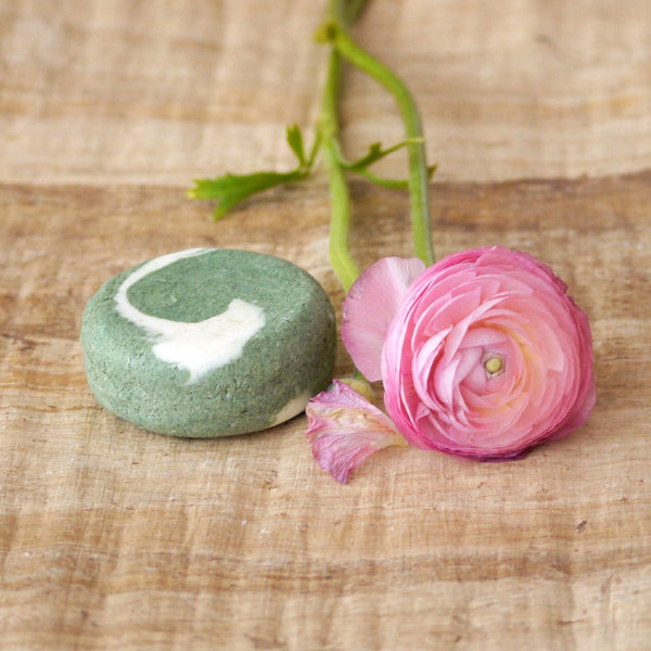 Cukrová pivonka - žihľavový šampúch