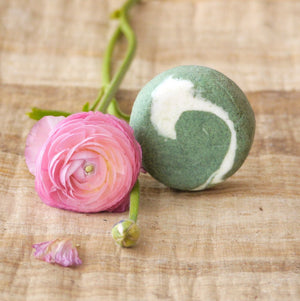 Cukrová pivonka - žihľavový šampúch