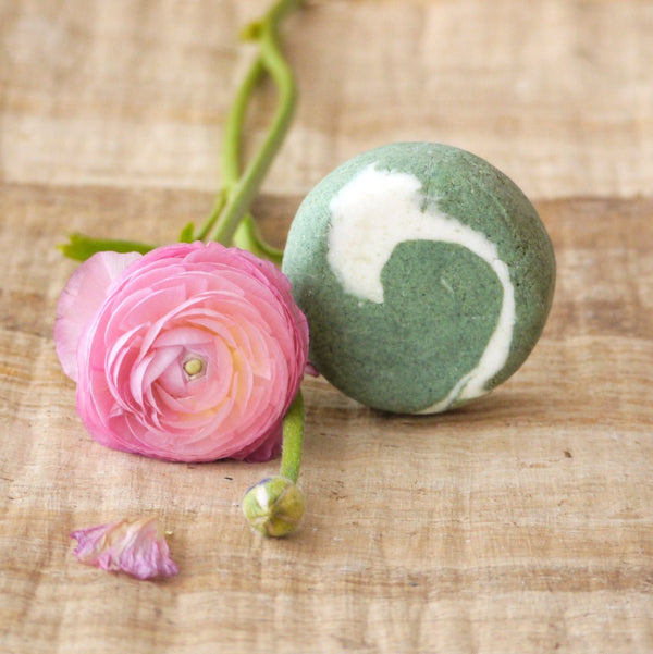 Cukrová pivonka - žihľavový šampúch