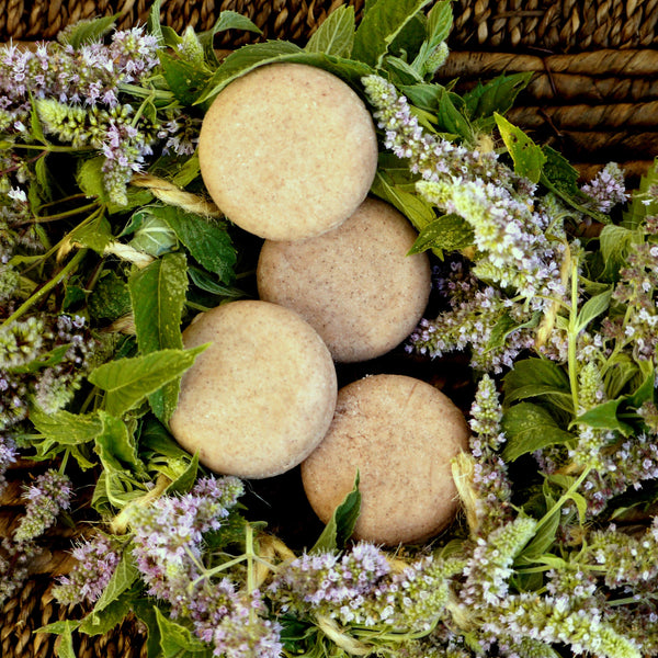 NEBALENÉ Mint obnova & ochrana - šampúch