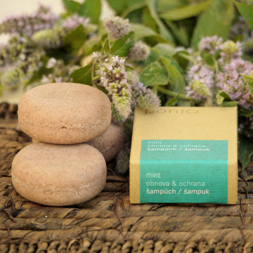 Mint obnova & ochrana - šampúch