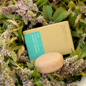 Mint obnova & ochrana - šampúch